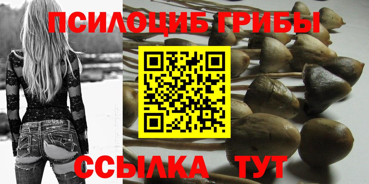 Сосновоборск  Псилоцибиновые грибы Magic Shrooms  Вход с VPN  Псилоцибиновые грибы Psilocybine cubensis 